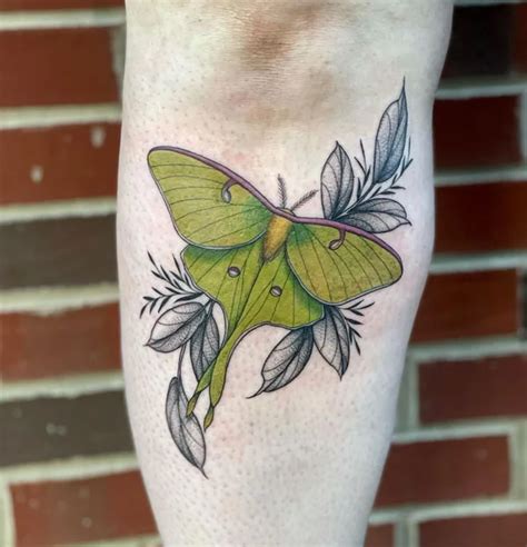 black luna moth tattoo|86 Remarkable Luna Moth Tattoos That Are On The Buzz Right。